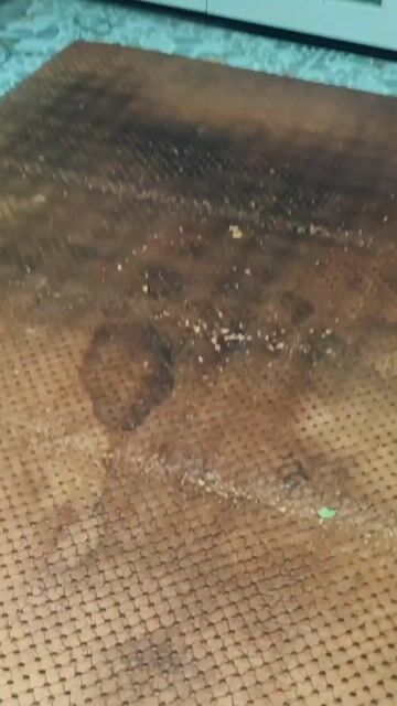 VỆ SINH NỆM – SOFA – THẢM – RÈM CỬA TẠI NHÀ. Dịch vụ nhà cửa khác tại Quận 7 Tp Hồ Chí Minh được đăng bởi Trần duy Hải hình 1