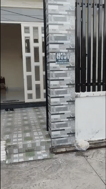 Cho thuê Nhà ở Huyện Củ Chi Tp Hồ Chí Minh diện tích 220 m² giá 6 triệu/tháng