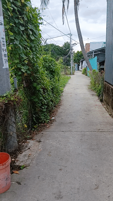 Mua bán Đất Huyện Cần Giờ Tp Hồ Chí Minh diện tích 500 m² giá 6,5 tỷ