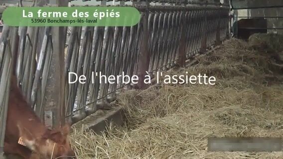 De l'herbe au fromage !