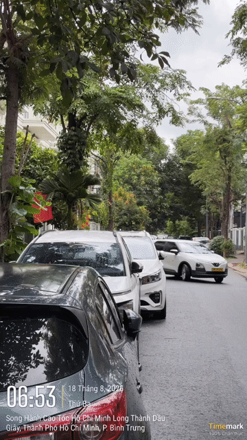 Cho thuê Nhà ở Thành phố Thủ Đức Tp Hồ Chí Minh diện tích 100 m² giá 30 triệu/tháng