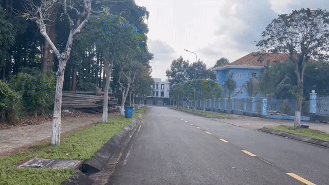 Mua bán Văn phòng, Mặt bằng kinh doanh Huyện Thống Nhất Đồng Nai diện tích 3000 m² giá 30,5 tỷ