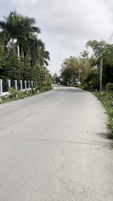 Mua bán Đất Huyện Chợ Mới An Giang diện tích 4000 m² giá 1 tỷ