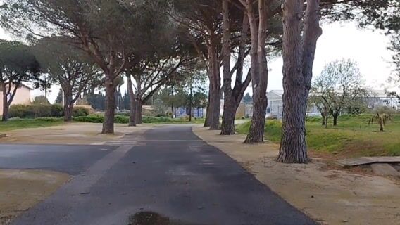 Tu veux faire quoi plus tard ?