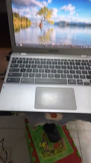 Samsung Laptop Bạc Đã sử dụng. Mua bán Laptop tại Thành phố Long Xuyên An Giang được đăng bởi Quoc Phuong hình 1