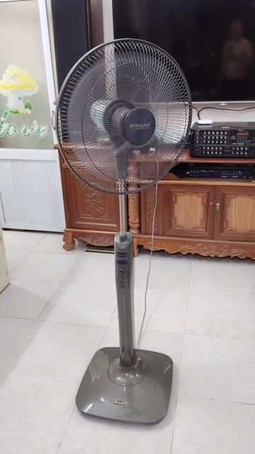 Quạt Cây Điện cơ. Mua bán Quạt tại Quận Ba Đình Hà Nội được đăng bởi Nguyễn Đức đạt   hình 1