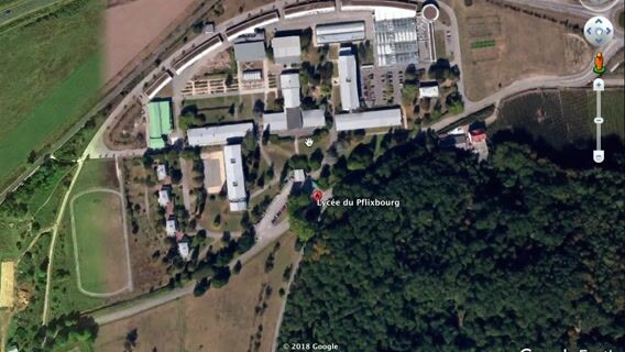 Ma formation en laboratoire contrôle qualité