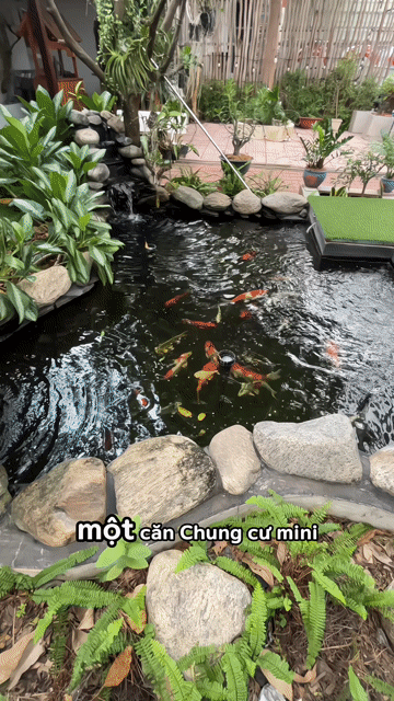 Cho thuê Căn hộ Chung cư Quận Tân Phú Tp Hồ Chí Minh diện tích 35 m² giá 5 triệu/tháng