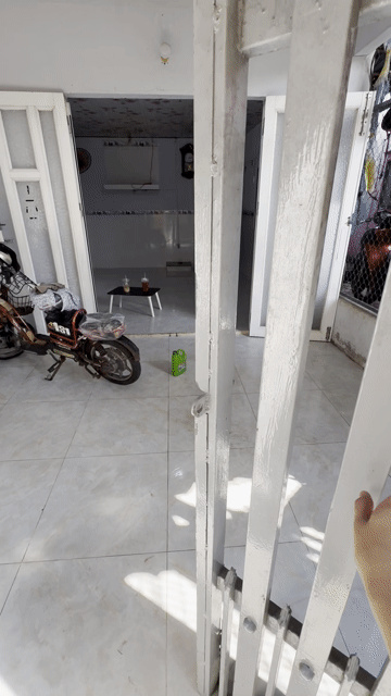 Cho thuê Nhà ở Huyện Đất Đỏ Bà Rịa - Vũng Tàu diện tích 50 m² giá 2,8 triệu/tháng