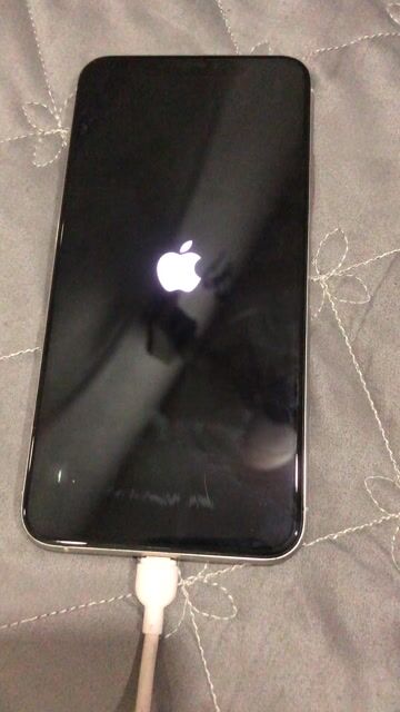 Apple iPhone 11 Pro Max 256GB Hỏng. Mua bán Điện thoại tại Huyện Hóc Môn Tp Hồ Chí Minh được đăng bởi gà mini hình 1
