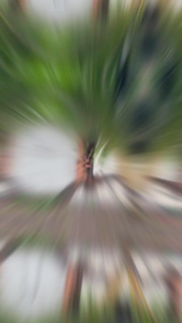 Honda Wave Alpha 2002 Bạc. Mua bán Xe máy tại Huyện Châu Đức Bà Rịa - Vũng Tàu được đăng bởi Lý Gia Tuấn hình 1