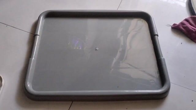Khay vệ sinh cho chó. Mua bán Phụ kiện, Thức ăn, Dịch vụ tại Thành phố Bà Rịa Bà Rịa - Vũng Tàu được đăng bởi Bảo Trân hình 1
