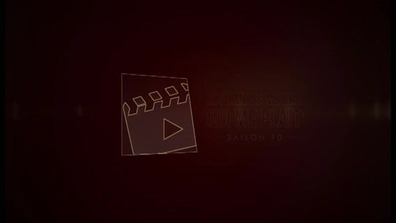 Les commerçants et artisans lucois font leur film : Le métier de carrossier