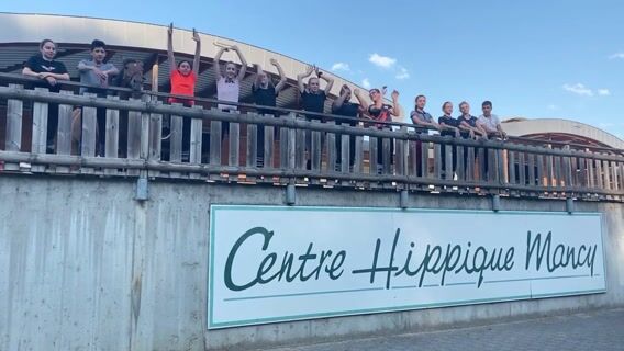 Palefrenier Soigneur