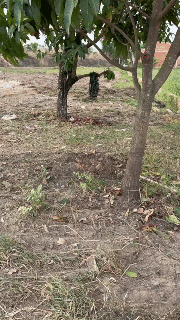 Mua bán Đất Huyện Đức Hòa Long An diện tích 1000 m² giá 13,8 tỷ