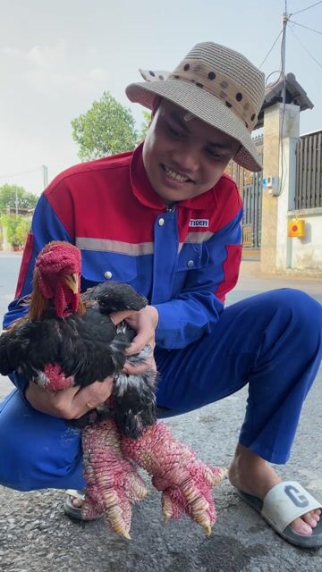 Gà Đông Tảo 2năm Tuổi 5kí-5.5kí 🔥🔥🔥