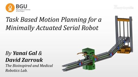 Minimally Actuated Robotic Arm | Encyclopedia MDPI