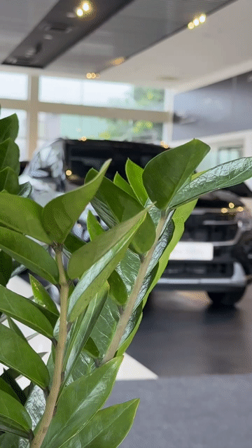 Kia Seltos 2026 giảm mạnh 59tr, chỉ 214tr nhận xe. Mua bán Ô tô tại Quận Cái Răng Cần Thơ được đăng bởi Trang KIA MAZDA CẦN THƠ hình 1