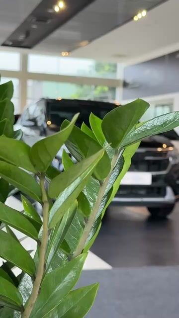 Kia Seltos 2026 giảm mạnh 59tr, chỉ 214tr nhận xe. Mua bán Ô tô tại Quận Cái Răng Cần Thơ được đăng bởi Trang KIA MAZDA CẦN THƠ hình 1