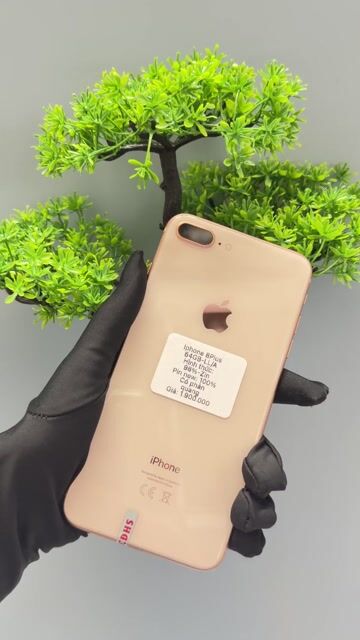 ⭐️⭐️iPhone 8 Plus 128GB Vàng -ZIN-99% ⭐️⭐️Giá Tốt. Mua bán Điện thoại tại Thành phố Huế Thừa Thiên Huế được đăng bởi Cầm Đồ Thanh Lý  hình 1
