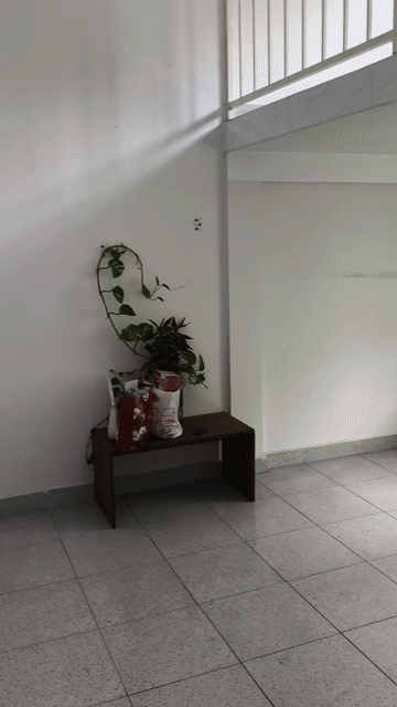Mua bán Căn hộ Chung cư Nhà ở xã hội Becamex Hòa Lợi Thành phố Thủ Dầu Một Bình Dương diện tích 30 m² giá 460 triệu