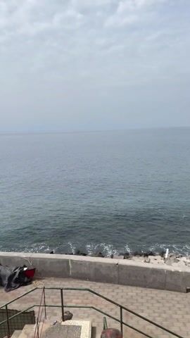 Lane down to the sea, Jardim do Mar