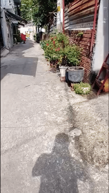 Cho thuê Nhà ở Quận Gò Vấp Tp Hồ Chí Minh diện tích 64 m² giá 6,5 triệu/tháng