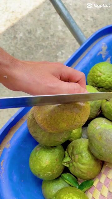Cam sành Trà Ôn, Vĩnh Long. Mua bán Đồ ăn, thực phẩm và các loại khác tại Thành phố Bến Tre Bến Tre được đăng bởi Ngọc Hà hình 1