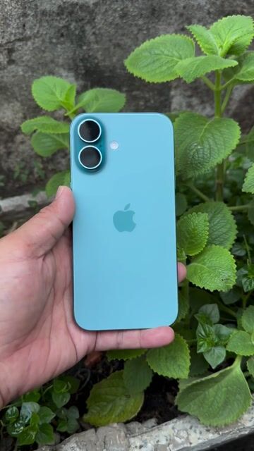 iPhone 16 128GB Xanh Đã qua sử dụng face nhạy zin. Mua bán Điện thoại tại Thành phố Thủ Đức Tp Hồ Chí Minh được đăng bởi Bin Bin hình 1