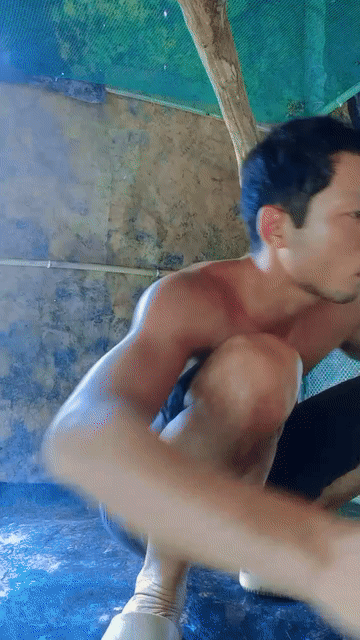 Gà trống Đỏ đen 4kg đực. Mua bán Gà tại Huyện Cái Nước Cà Mau được đăng bởi Chiến Kê Các loại  hình 1