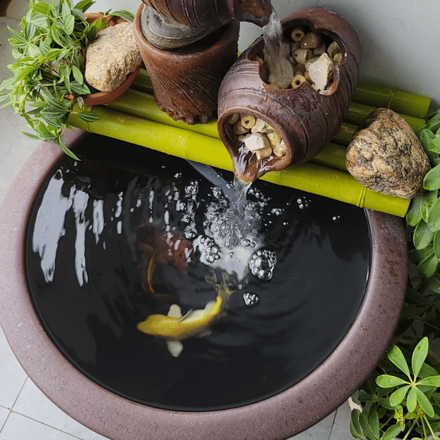 Chum nuôi cá cảnh. Mua bán Thú cưng khác tại Quận Hoàng Mai Hà Nội được đăng bởi TRUNG KIÊN hình 1