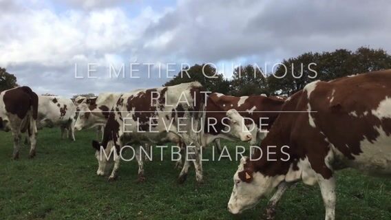 Éleveur de Montbéliardes