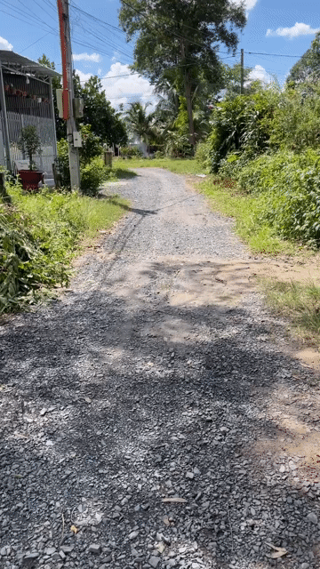 Mua bán Đất Huyện Châu Thành Tây Ninh diện tích 175 m² giá 790 triệu