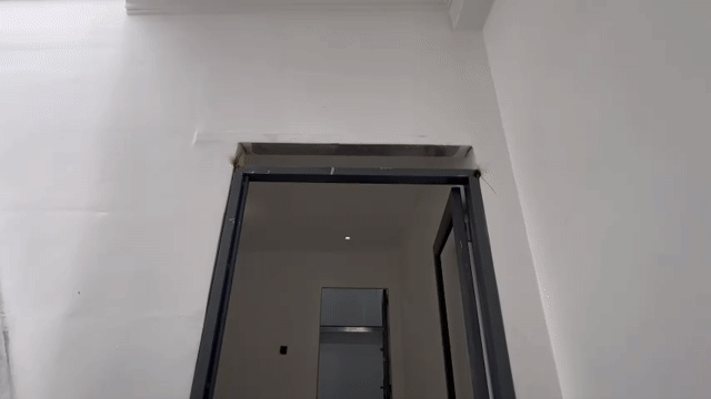 Cho thuê Phòng trọ Quận Gò Vấp Tp Hồ Chí Minh diện tích 40 m² giá 7,6 triệu/tháng
