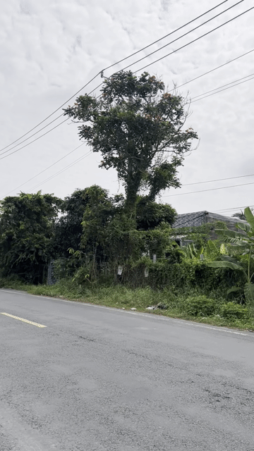 Mua bán Đất Huyện Chợ Mới An Giang diện tích 5000 m² giá 10 tỷ