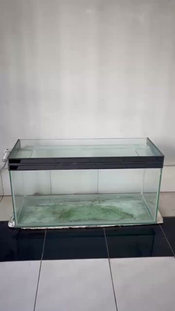 Hồ cá kính 1m x 40cm x 50cm. Mua bán Phụ kiện, Thức ăn, Dịch vụ tại Thành phố Rạch Giá Kiên Giang được đăng bởi Toan hình 1