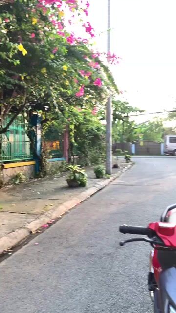 Yamaha NoVo 4 2011 màu đỏnđen len ken mới 95%. Mua bán Xe máy tại Thành phố Thủ Đức Tp Hồ Chí Minh được đăng bởi Nguyễn Thanh Bình hình 1