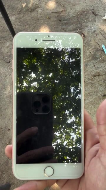 iphone 8plus Vàng hồng 64Gb. Mua bán Điện thoại tại Thành phố Biên Hòa Đồng Nai được đăng bởi hoang le hình 1