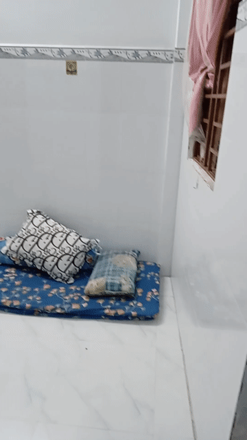 Cho thuê Phòng trọ Quận 11 Tp Hồ Chí Minh diện tích 10 m² giá 2 triệu/tháng