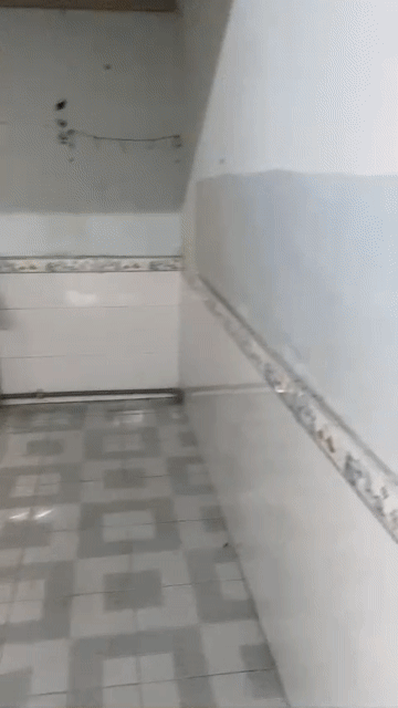 Cho thuê Phòng trọ Huyện Củ Chi Tp Hồ Chí Minh diện tích 12 m² giá 1 triệu/tháng