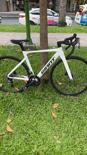 Xe đạp đua Giant PCR LTD Trắng Size S 95% mới. Mua bán Xe đạp tại Quận 10 Tp Hồ Chí Minh được đăng bởi Tranlttam hình 1