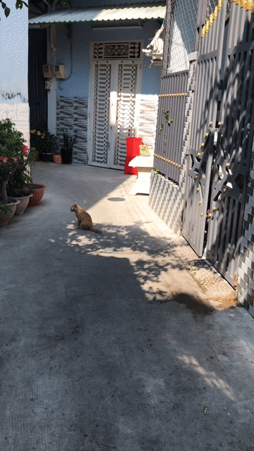 Mua bán Nhà ở Huyện Nhà Bè Tp Hồ Chí Minh diện tích 36 m² giá 1,2 tỷ