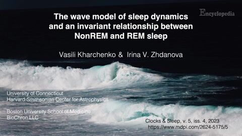 The Wave Model of Sleep Dynamics | Encyclopedia MDPI