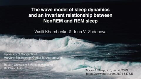 The Wave Model of Sleep Dynamics