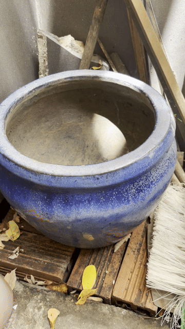 Chậu trồng cây Gốm sứ Đủ cỡ. Mua bán Cây cảnh, đồ trang trí tại Quận Bình Thạnh Tp Hồ Chí Minh được đăng bởi nguyen thi thanh huong hình 1