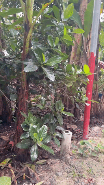 Mua bán Đất Thành phố Thuận An Bình Dương diện tích 432 m² giá 7,2 tỷ