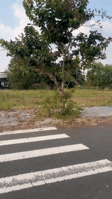 Mua bán Đất Huyện Thoại Sơn An Giang diện tích 100 m² giá 1,05 tỷ