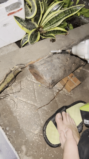 Máy bắn vít  EARTH MAN IDR-110 + pin mới. Mua bán Đồ chuyên dụng, Giống nuôi trồng tại Thành phố Thủ Đức Tp Hồ Chí Minh được đăng bởi Bảo hình 1
