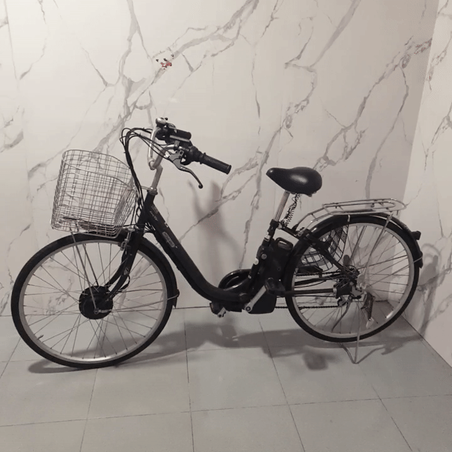 Xe đạp trợ lực Mini Nhật bãi Đen. Mua bán Xe đạp tại Quận Bình Thạnh Tp Hồ Chí Minh được đăng bởi An Minh hình 1