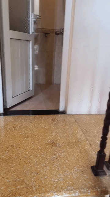 Cho thuê Phòng trọ Quận Thanh Xuân Hà Nội diện tích 20 m² giá 2,8 triệu/tháng